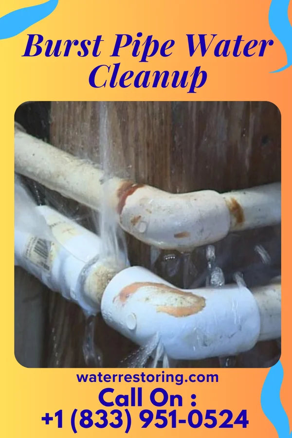 Burst Pipe Water Cleanup in Oakwood, OH