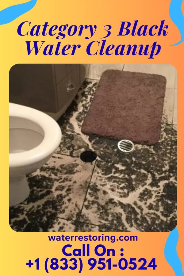 Category 3 Black Water Cleanup in Oakwood, OH