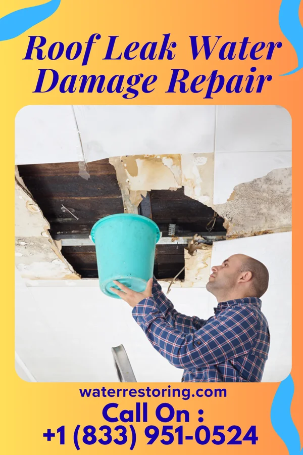 Roof Leak Water Damage Repair in Oakwood, OH