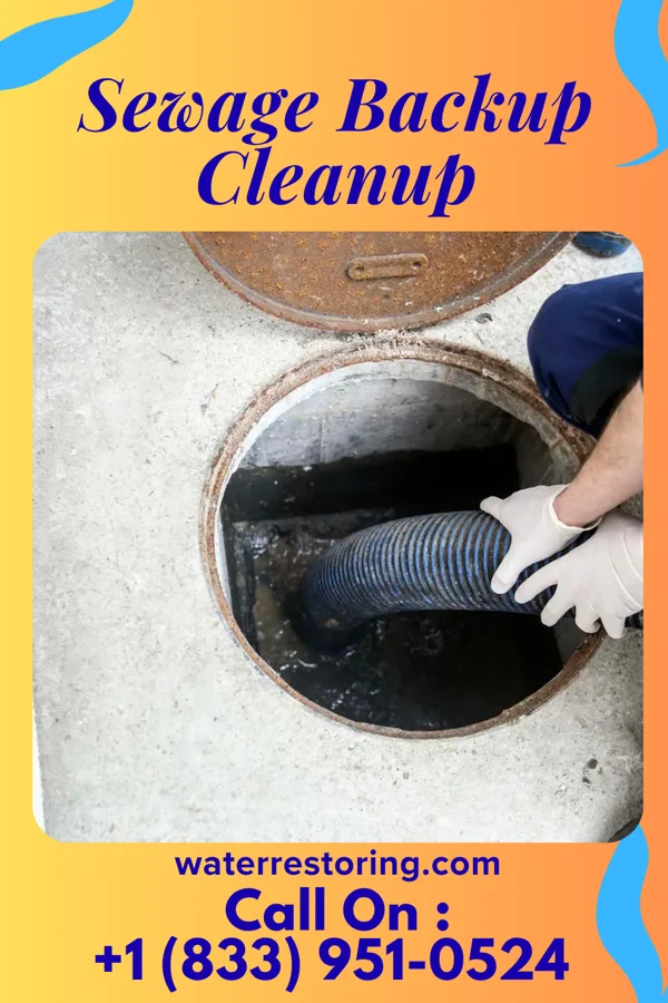 Sewage Backup Cleanup in Oakwood, OH