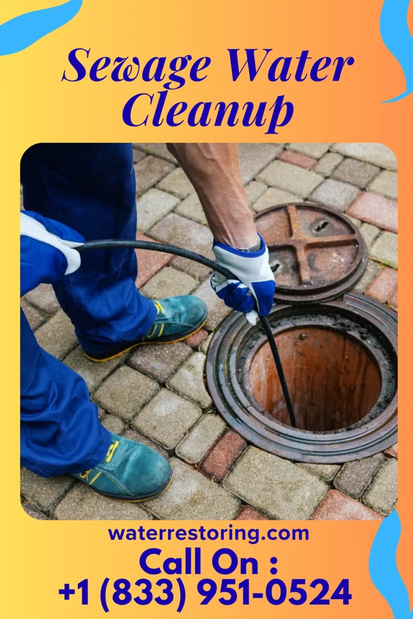 Sewage Water Cleanup in Oakwood, OH