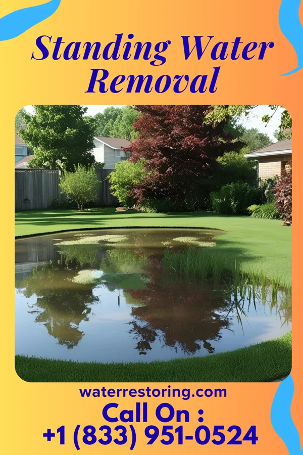 Standing Water Removal in Oakwood, OH